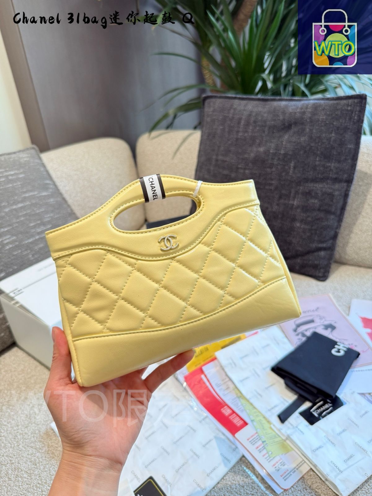 今日 Chanel 31 bag nano 24 C リプリカ オイルラック レザー WTO輸入2