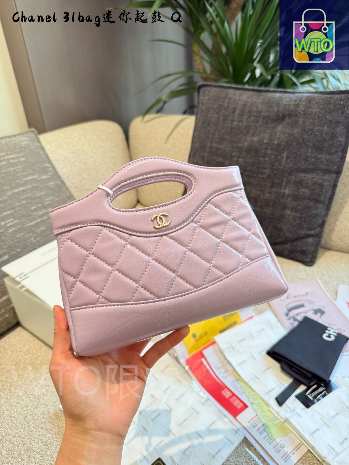 今日 Chanel 31 bag nano 24 C リプリカ オイルラック レザー-WTO輸入2