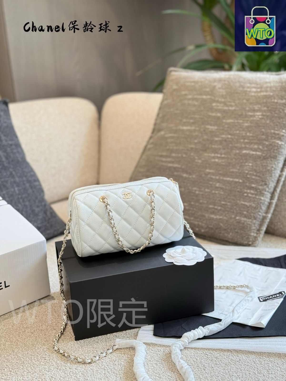 今日 Chanel 中球ミニボウリングバッグ ホワイト - Medium Ball Mini Bowling Bag White-WTO輸入2