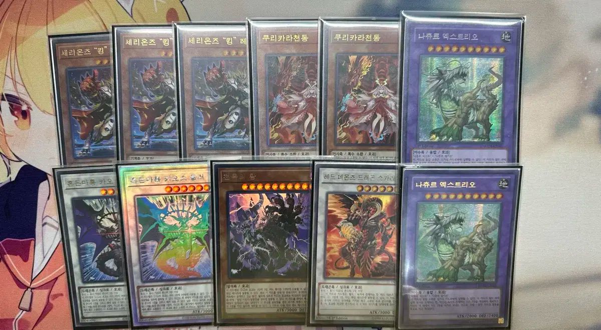 遊☆戯☆王 韓国版 カード まとめ 遊☆戯☆王 韓国版 カード まとめ