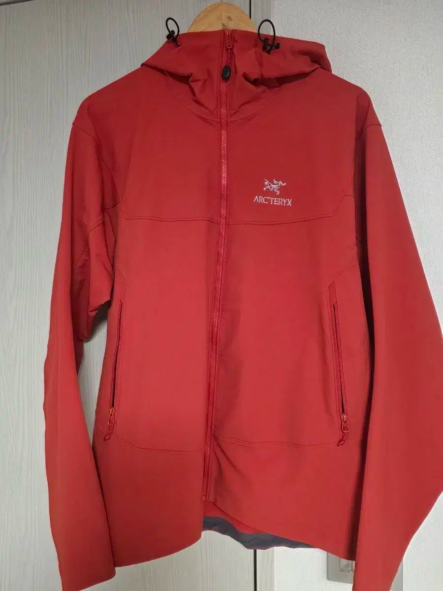 ARC TERYX アークテリクス GAMMA ガンマ LT フーディ ボルドー L ラージ large 105