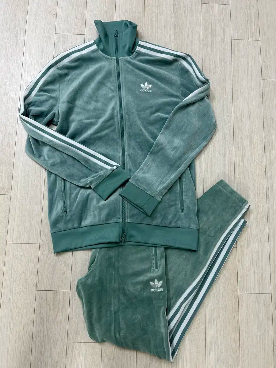 アディダス コージートラックジャージ セット