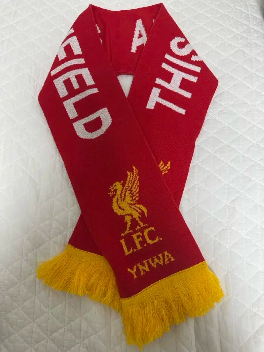 Liverpool 22-23 GKユニフォーム アリソン S リヴァプール Liverpool