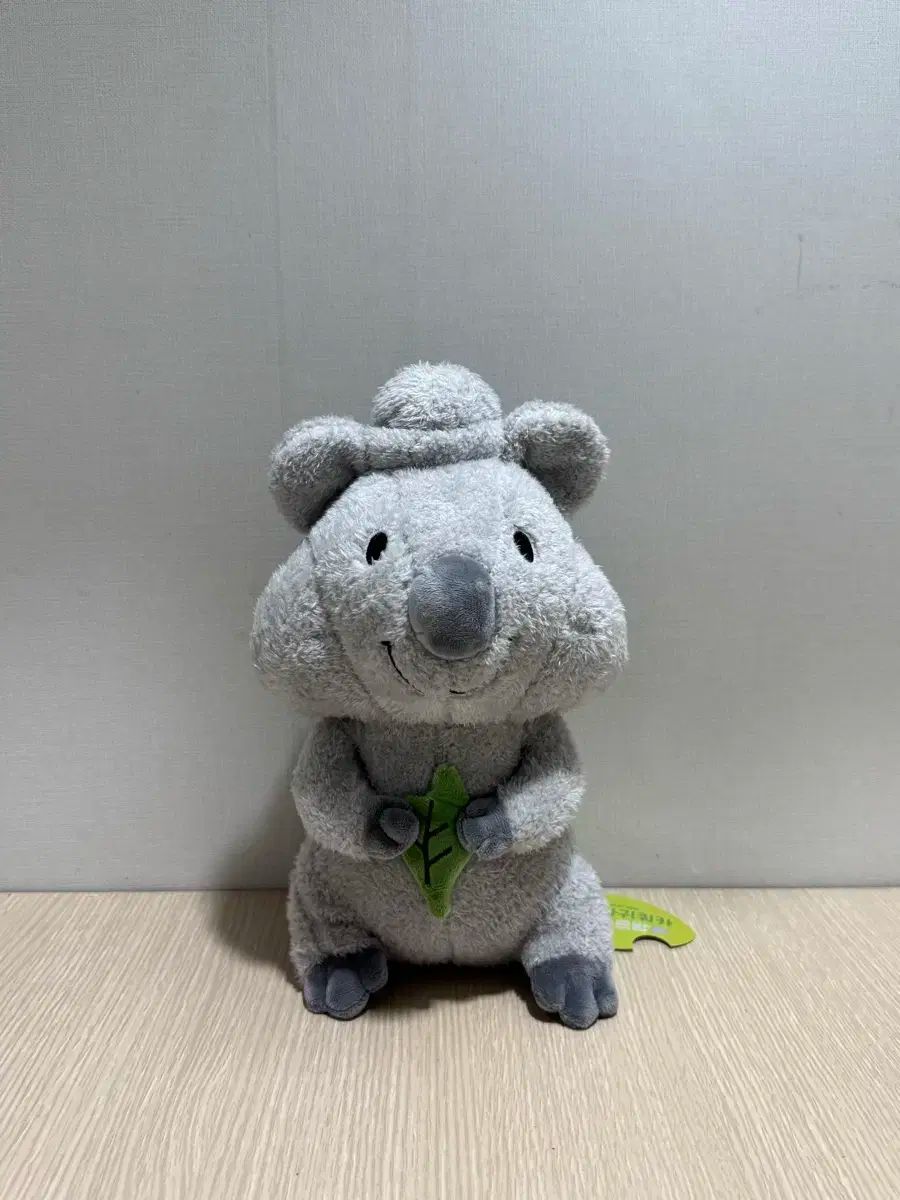 ドルハルバン クォッカ 中型