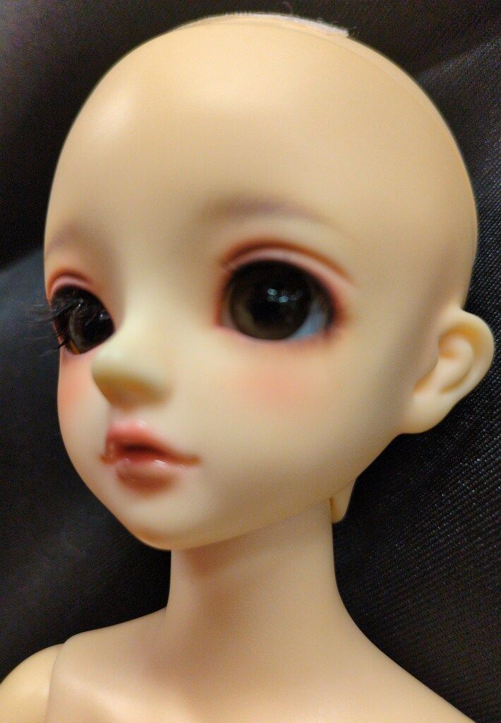 コーディネートモデル F-31