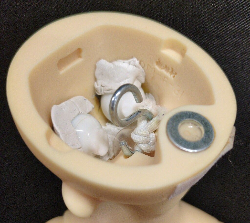 SDM女の子 コーディネートモデル