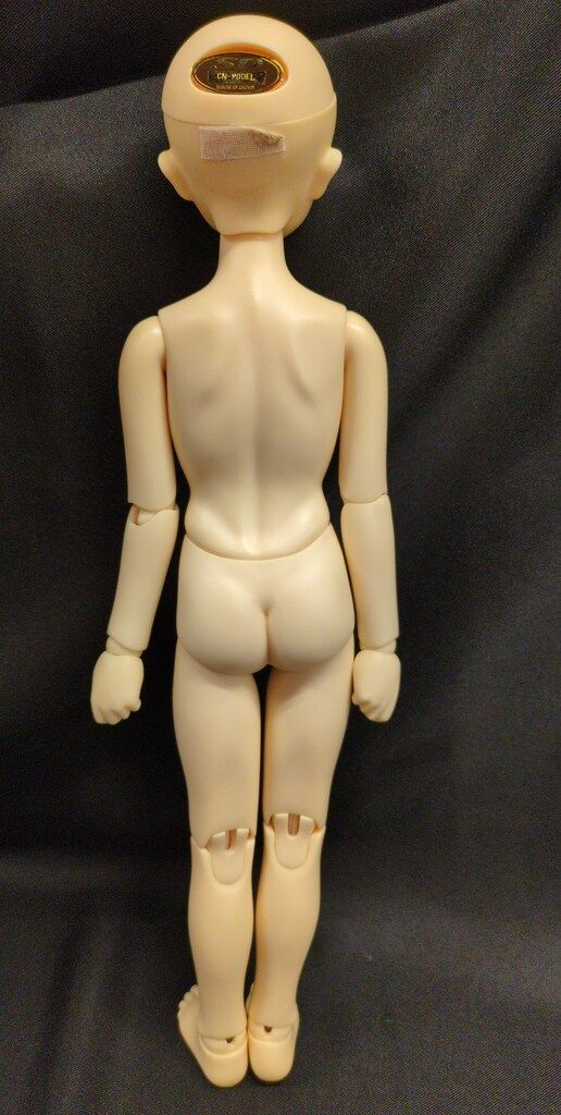 F-31 ノーマル肌