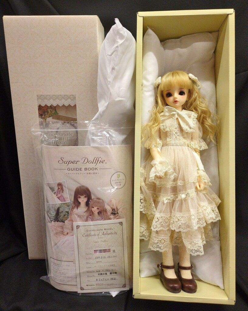 SDM女の子 コーディネートモデル