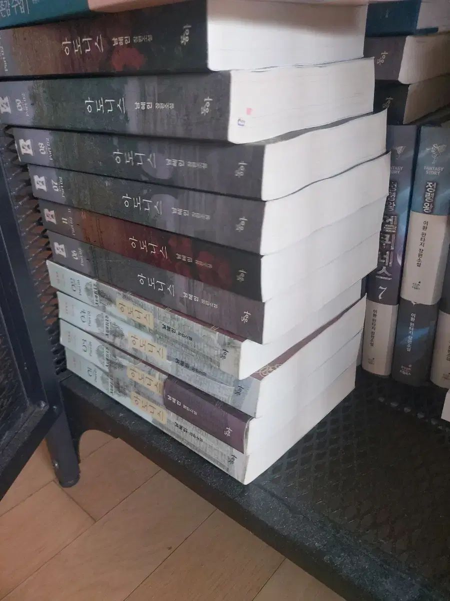 乙狩 アドニス 혜인 長編小説 全巻 セット