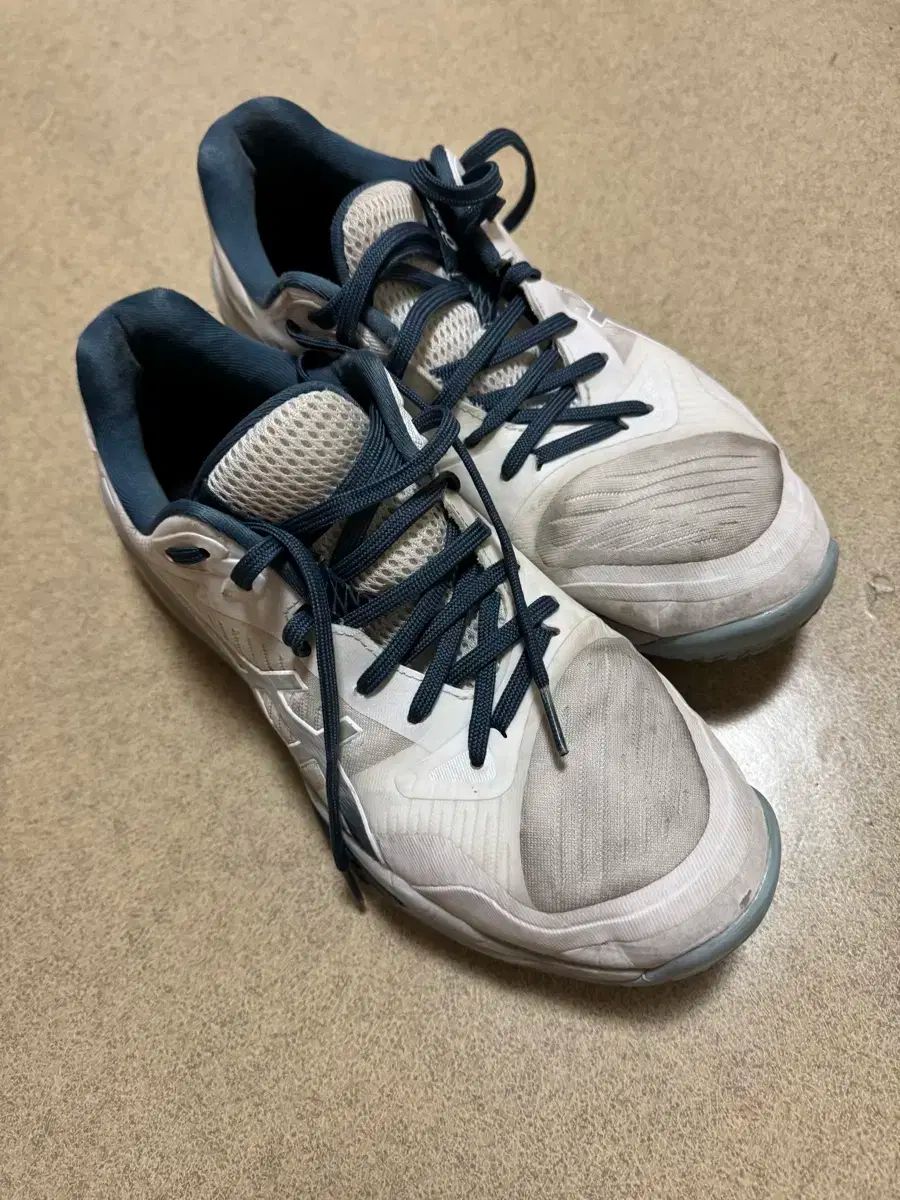 アシックス スカイエリート3 265