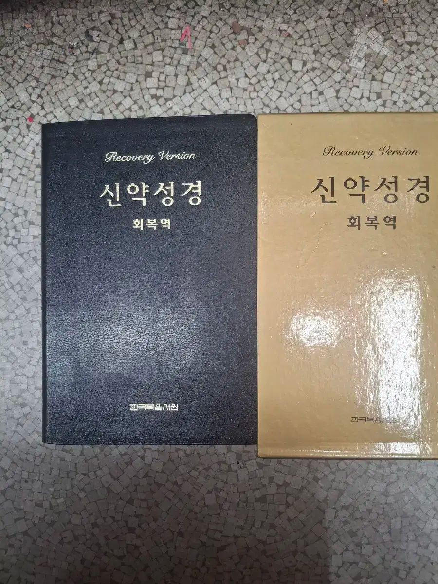 23区ブラウス大きいサイズ自由区アンタイトルインディヴィICB組曲