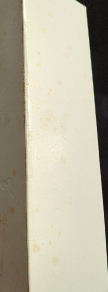 キンケシ肌色セット