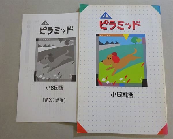 塾専用 ピラミッド 小6国語 書き込みなし 010m5B - メルカリ