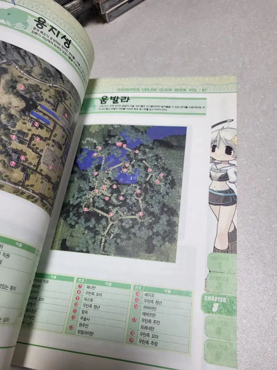 ラグナロク オンライン ガイドBOOK 攻略本 VOL 10