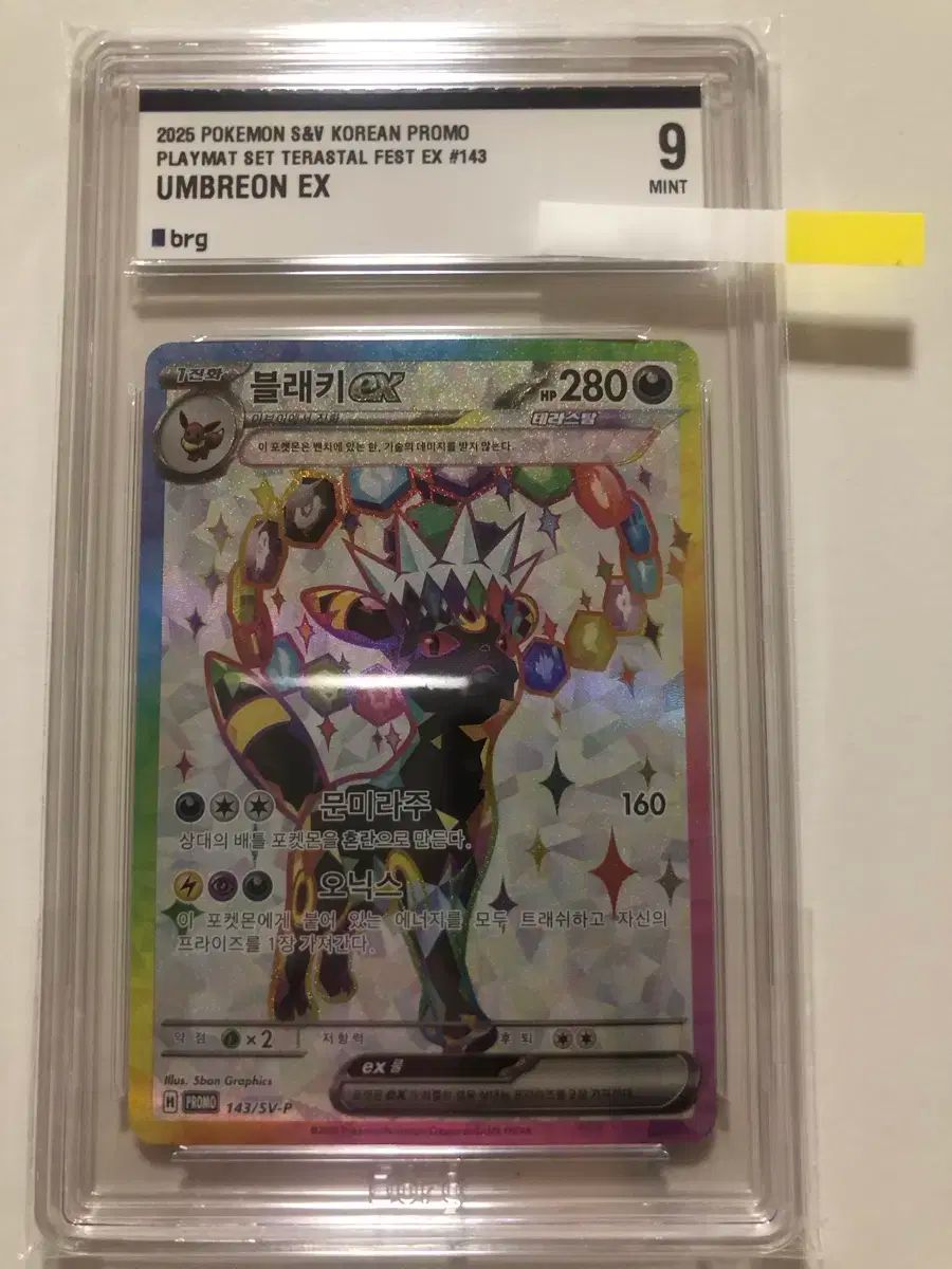 英版ブラッキー チャンピオンシップ STAFFプロモ - BGS MINT9 英版ブラッキー チャンピオンシップ STAFFプロモ - BGS MINT9 英版
