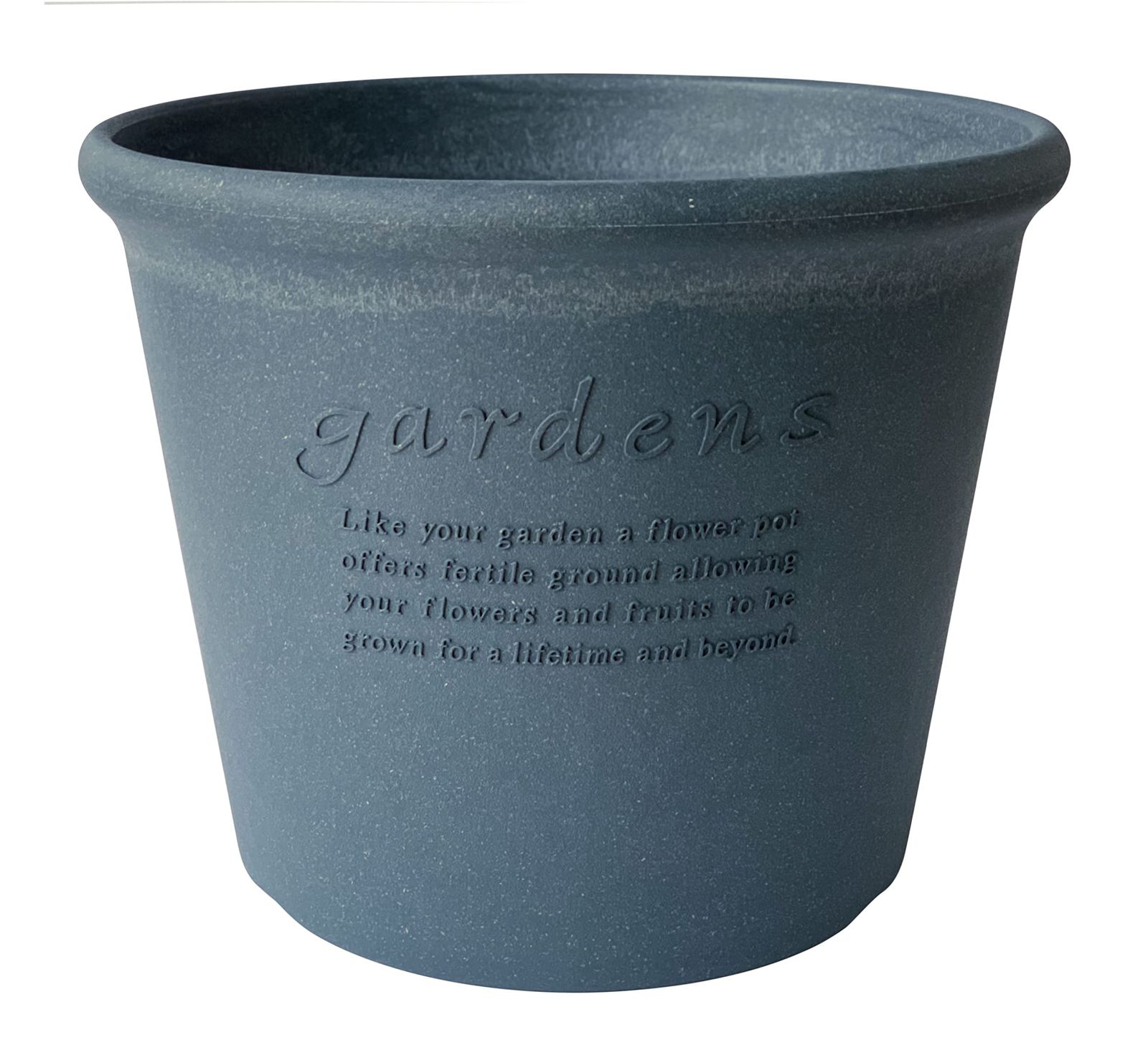 リザードンLv.55 Lv.60 各2枚