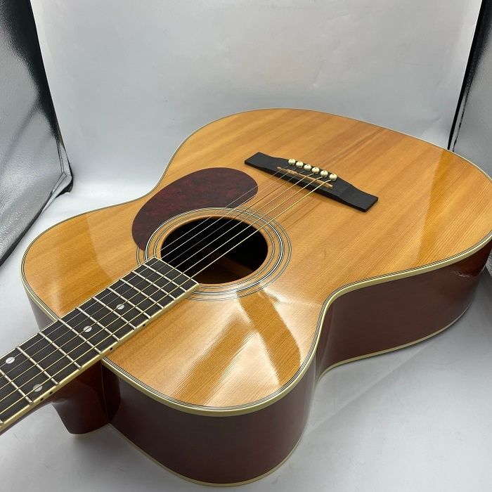 購入 Lumber アコースティックギター LF3NA ランバー アコギ ガット