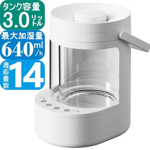 ガラスポット式スチーム加湿器 SKJ RY 30 SKG タンク容量3 L 加湿量640 ml 上部給水式 エスケイジャパン