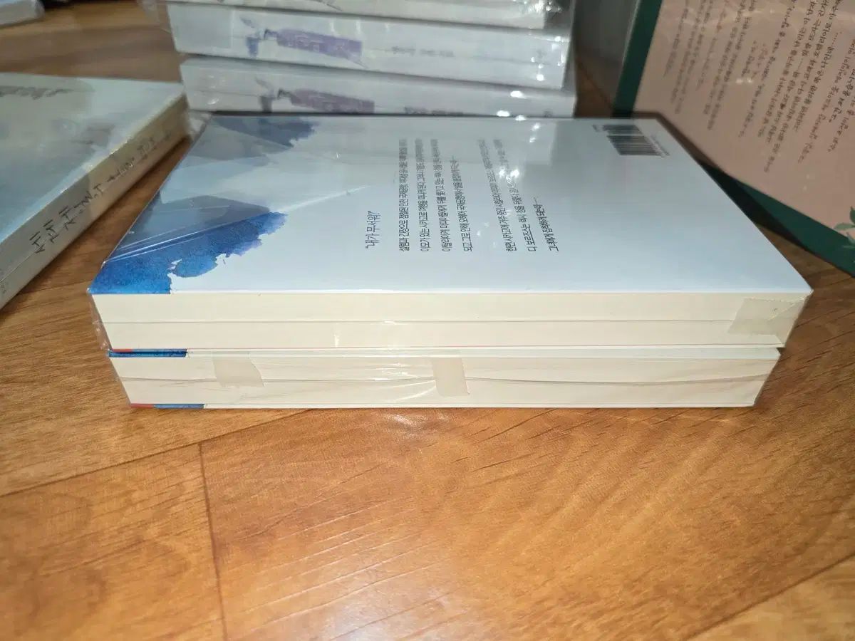 迷いの恋人 星パープル ロマンス小説