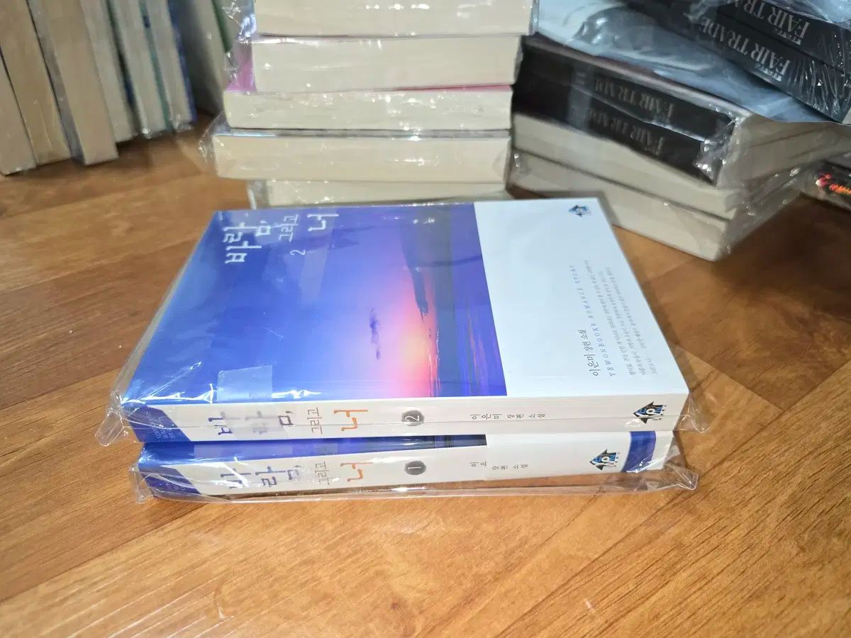 イ ウンミ 風そして君 1 2 ロマンス小説