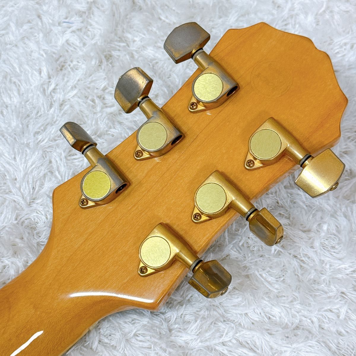 アコースティックギター アコギ