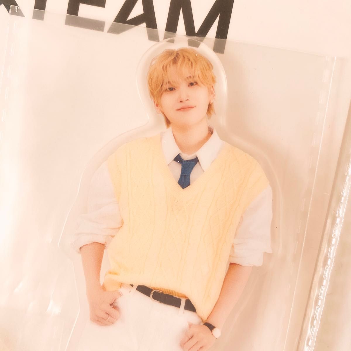  TEAM 日本 アクリルスタンド エンティーム アクスタ エンチーム andteam SEGA コンプ アクリルスタンド K-POP