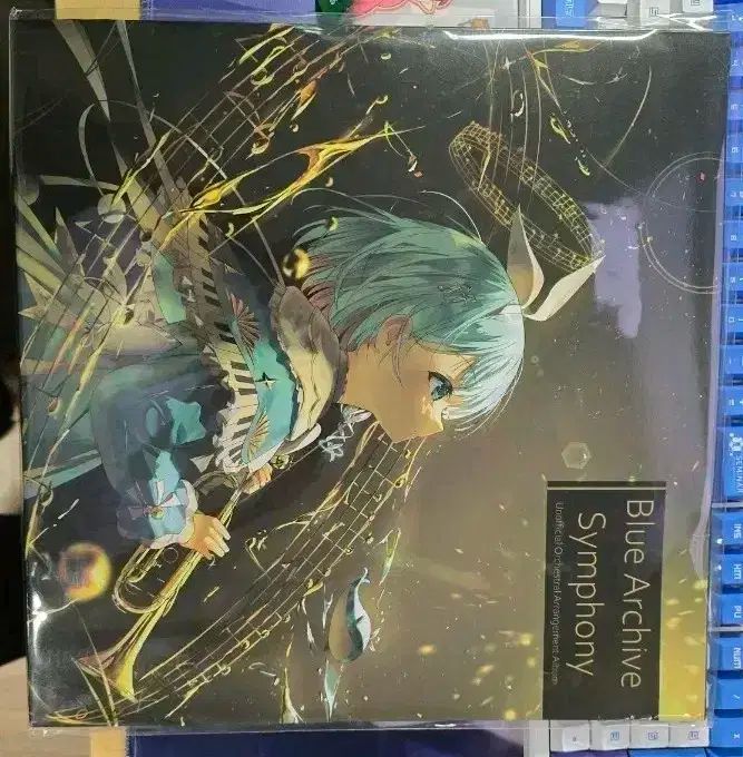 Blue Archive ブルーアーカイブ ブルアカ 常盤木 ときわぎ ルー LP