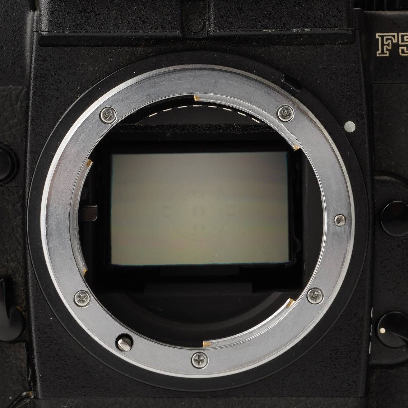 ニコン Nikon F5 ボディ 一眼レフフィルムカメラ - メルカリ