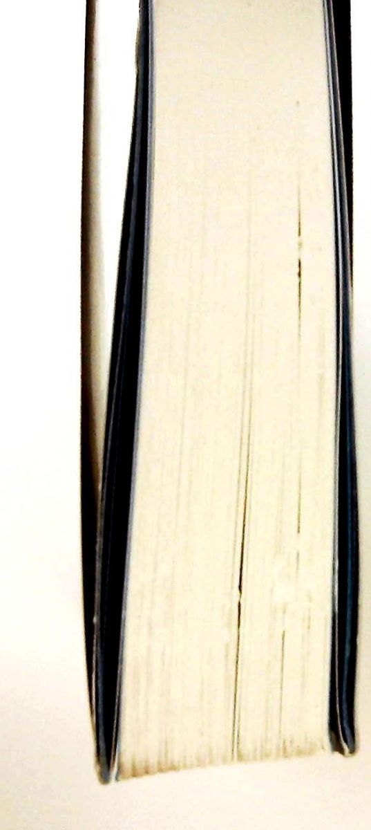 高見真一自叙伝 カジノで30億円すった男の話 日比谷出版社