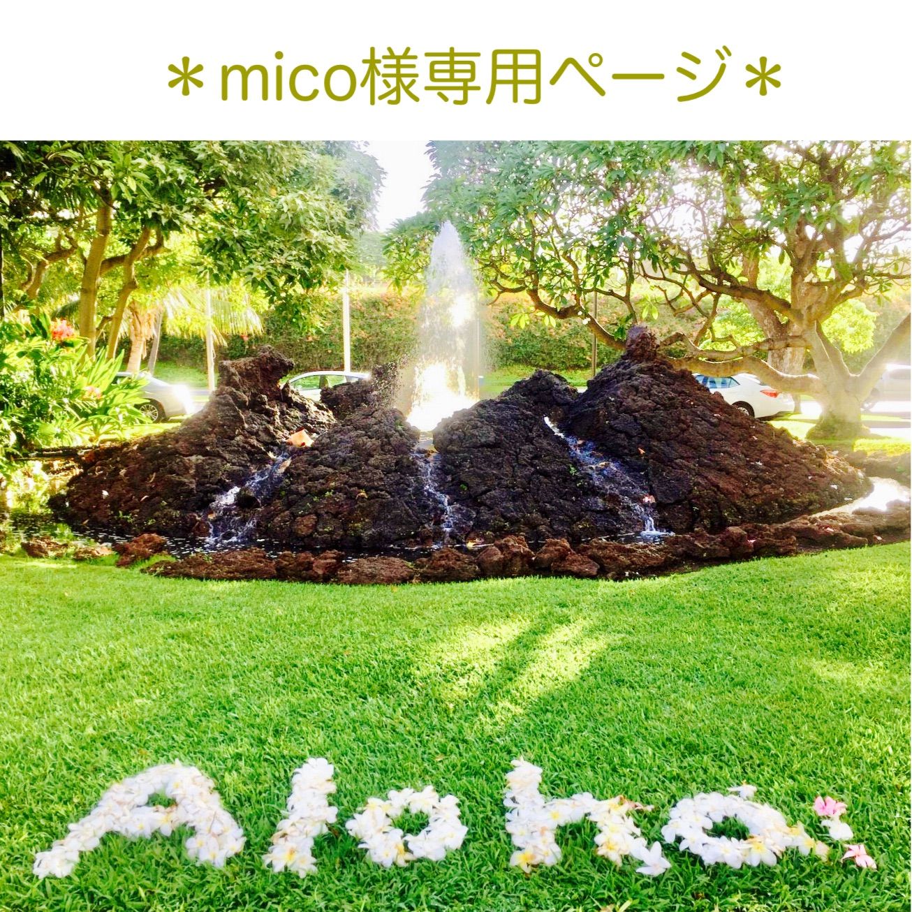 ＊mico 様専用ページ＊ハワイ伝統工芸 ラウハラ フラワー ヘアピック (カラー:ナチュラル) ハワイ かんざし フラダンス クリスマス プレゼント ハワイ ハワイアン パウスカート