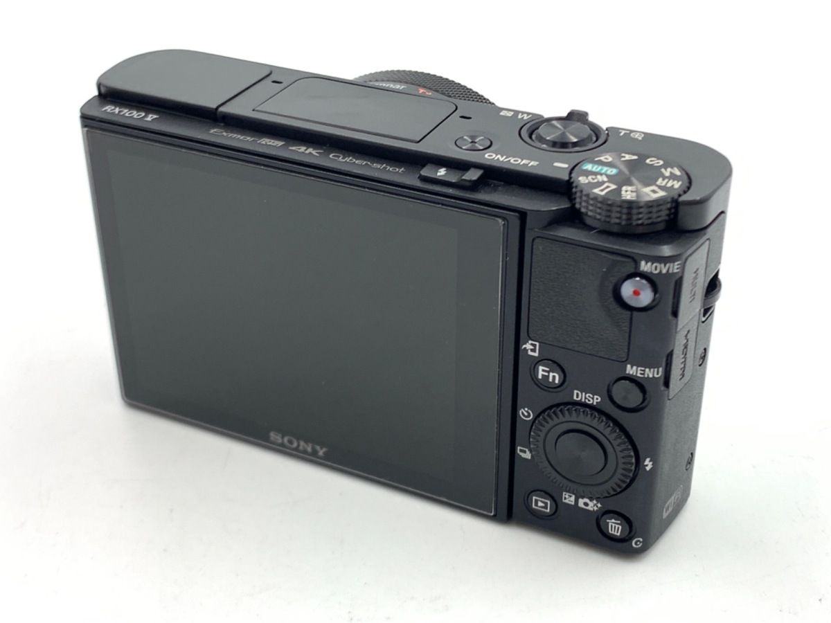 並品 ソニー Cyber shot DSC RX 100 M 5
