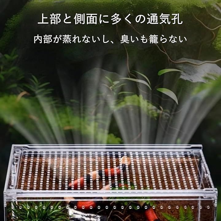 COZENTA 爬虫類 ケージ シェルター アクリル製 トカゲ 蛇 サソリ 飼育