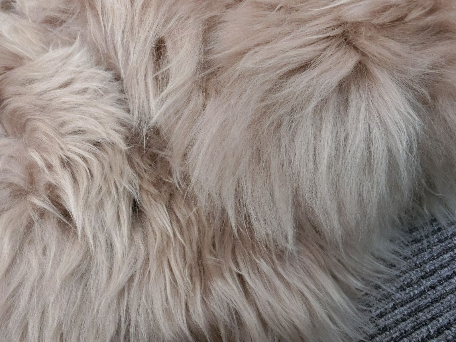 GY220-104 丸八真綿 ムートンラグ 天然毛 ブラウン 60×120cm 1．5匹