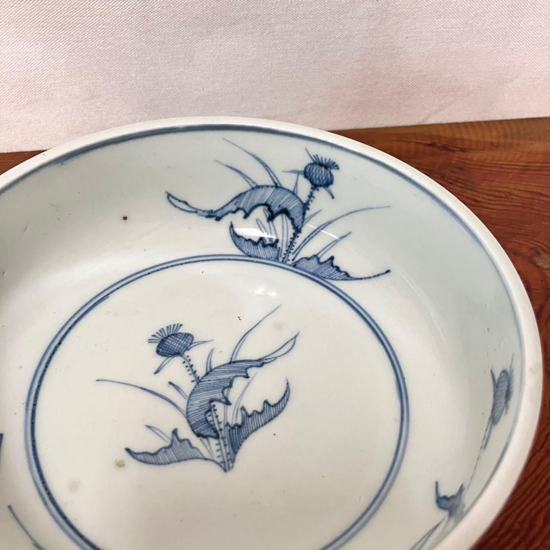 染付薊図春寒鉢 直径15.5cm 江戸後期〜幕末 蛇目高台 骨董 雑貨屋えこ