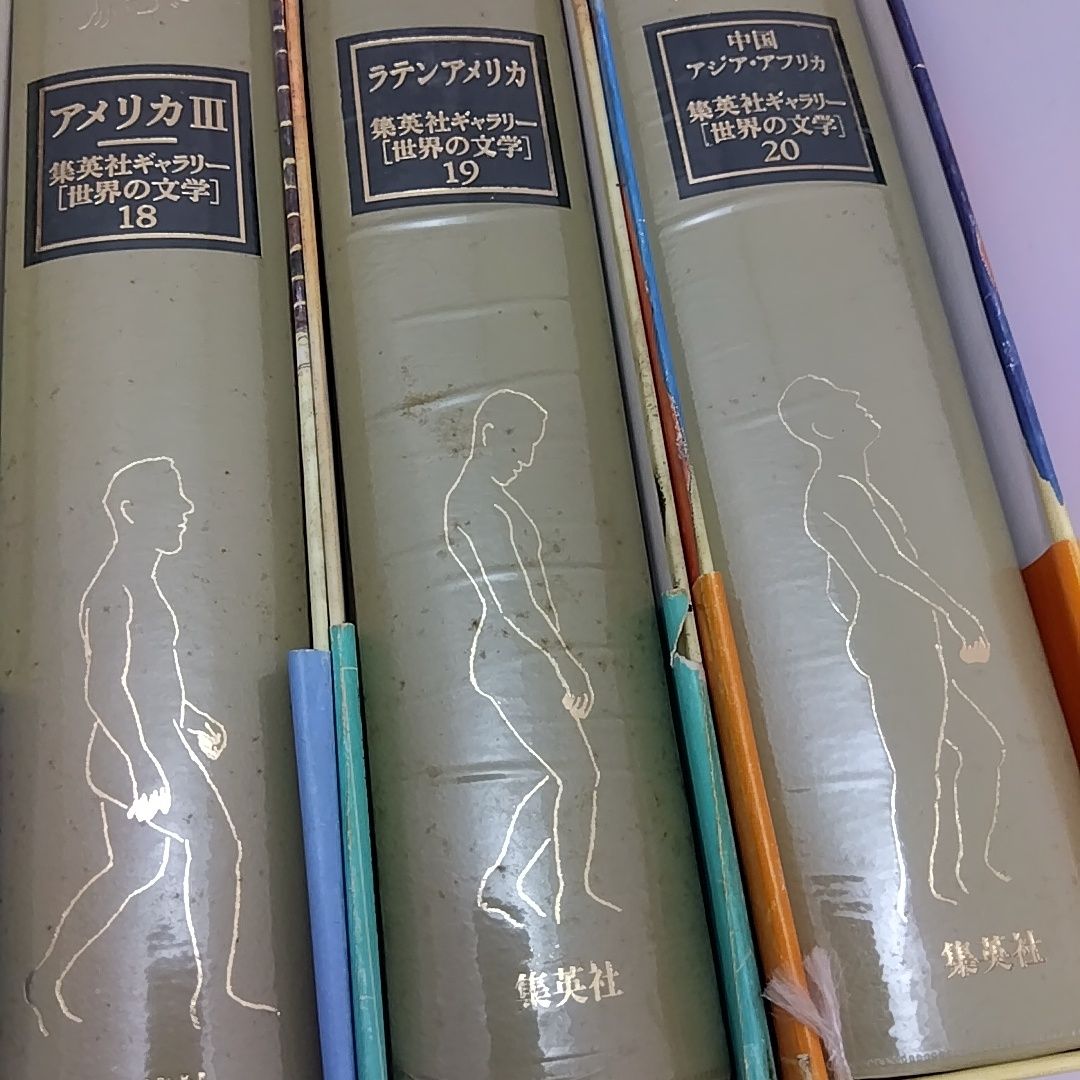 全巻セット】 集英社ギャラリー 世界の文学 20巻セット - メルカリ