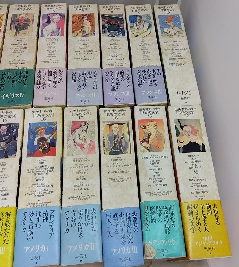 全巻セット】 集英社ギャラリー 世界の文学 20巻セット - メルカリ