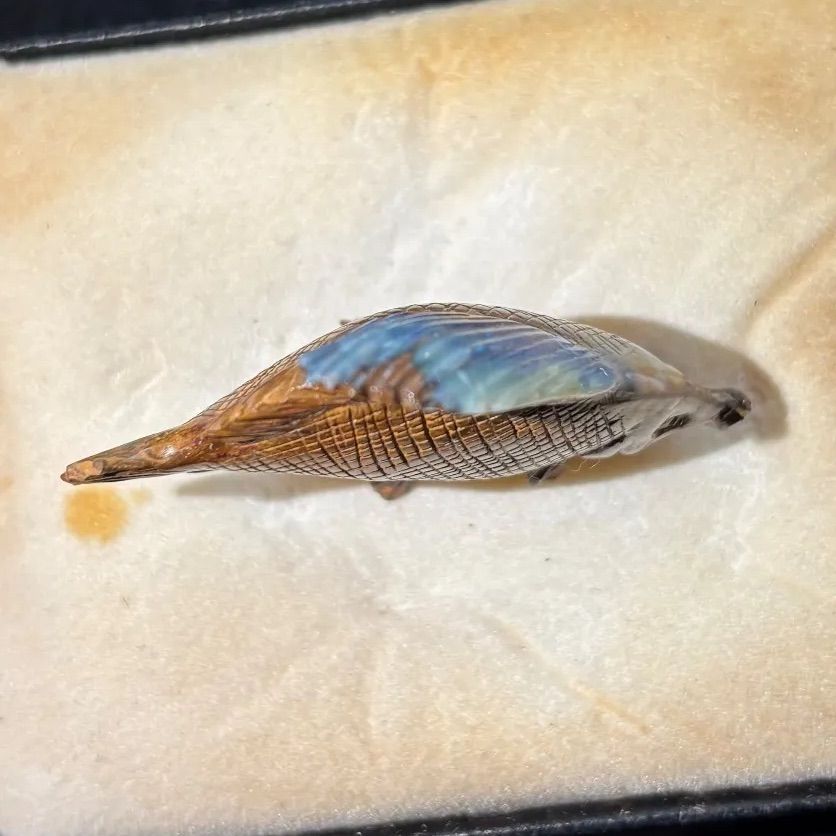 彫刻 魚の工芸品 美品 サカナ 魚 木彫 天然木 置物 インテリア 工芸品 美術