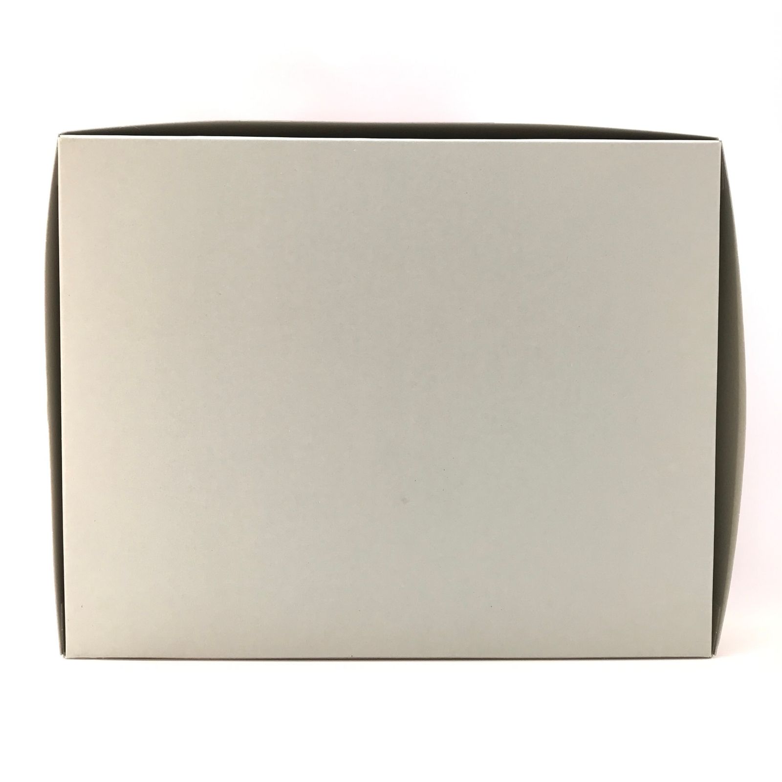 BANDAI プラモデル 1 100 MG ZGMF X 12 A RGX 00 テスタメントガンダム 機動戦士ガンダムSEED DESTINY ASTRAY バンダイ 内袋