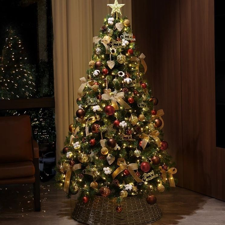 カフェ色コットン装飾付き 150高さ