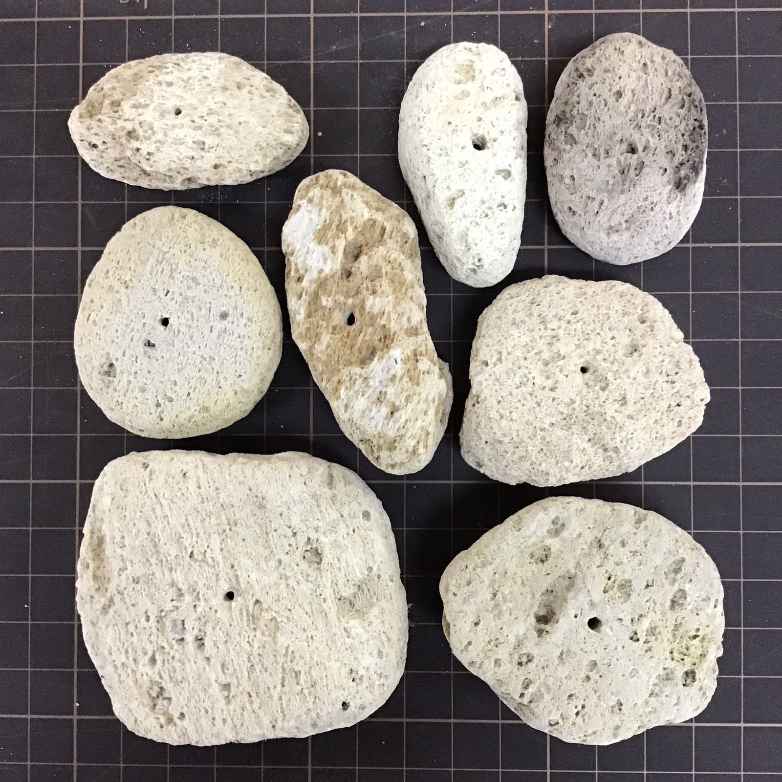 お試しセット｜アイテラスの軽石鉢 8点セット｜軽量＆通気性抜群｜観葉