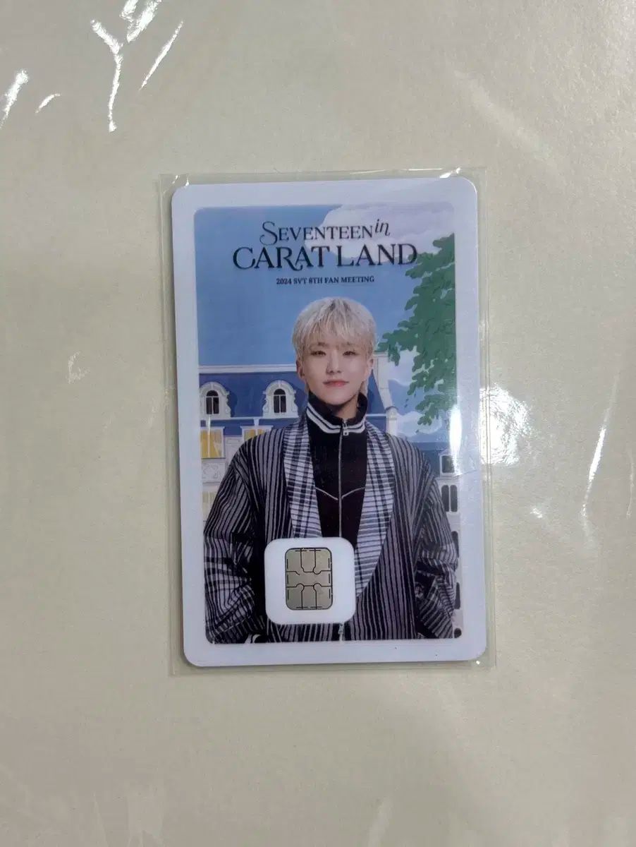 SEVENTEEN カラット CARAT LAND ケレン ホシ(HOSHI) ナマネカード