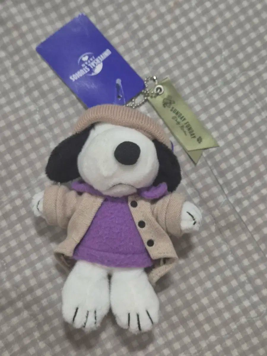 貴重 SNOOPY スヌーピー チャーリーブラウン キーホルダー ビンテージ