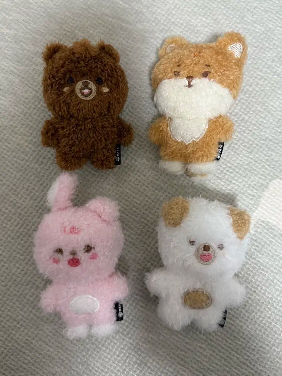 DAY 6 デイシックス プチあんさんぶるスターズ あんスタ マグネット バンコクフィルドン