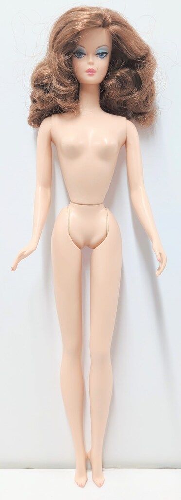 マテル バービー FMC Trace of Lace(Brunette) - メルカリ