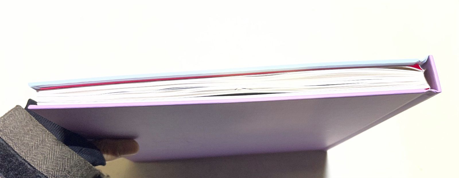 Sheena Ringo BoOK ピンク