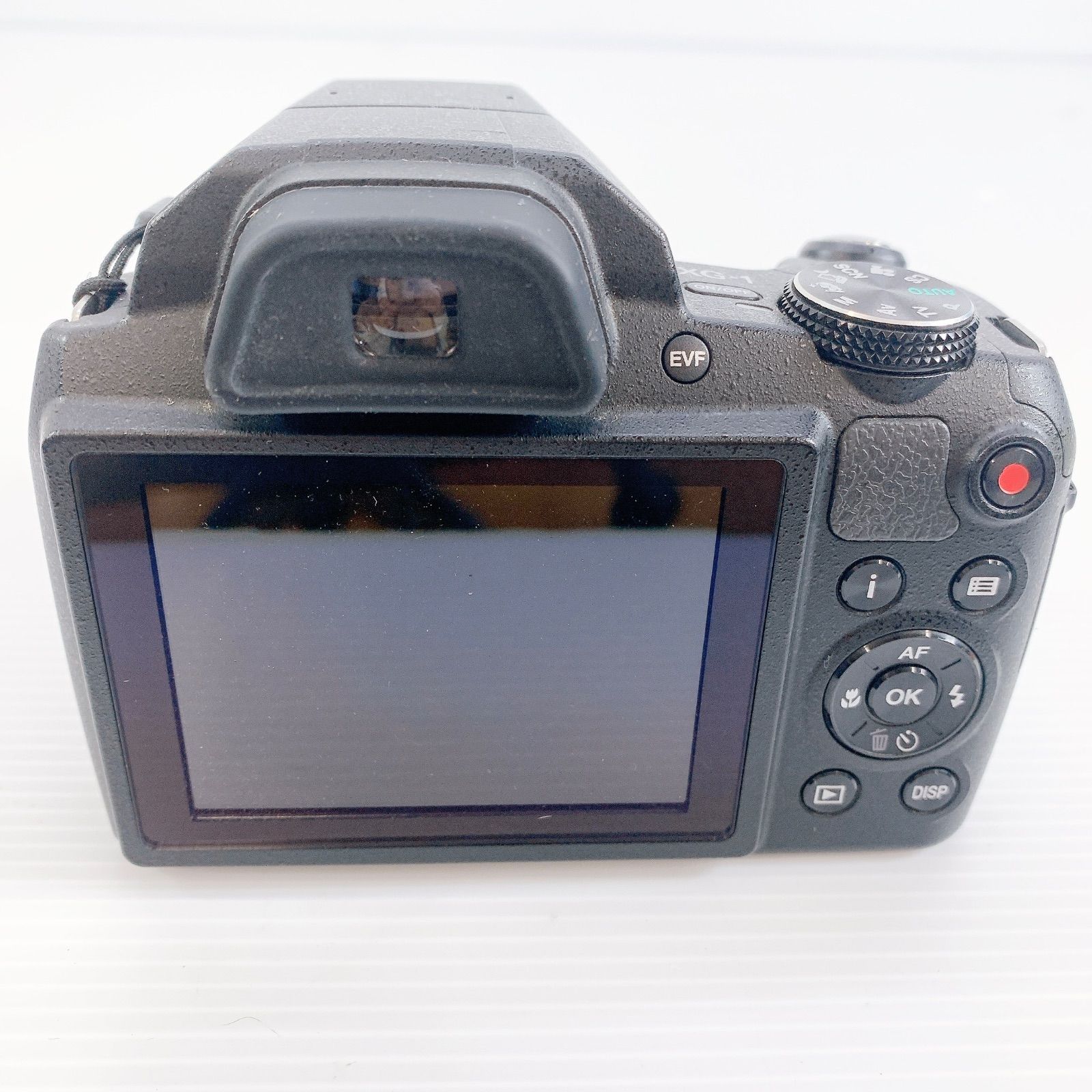 運動会 野鳥撮影