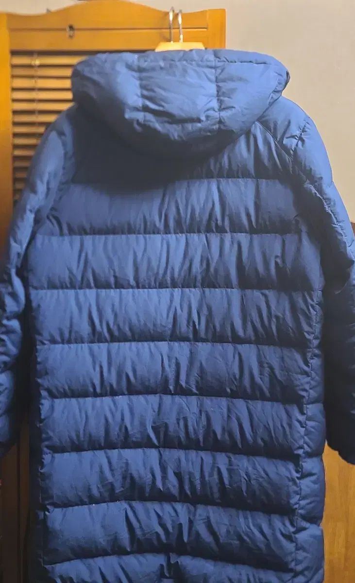 NIKE ナイキ スウッシュ フード ダウン 100 L