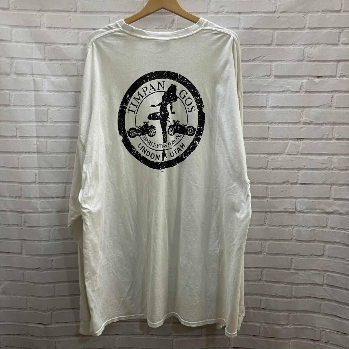 HARLEY DAVIDSON / ハーレーダビッドソン / 00s / 両面プリント / 袖