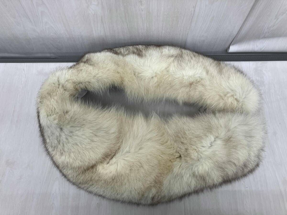 FOX フォックスショール