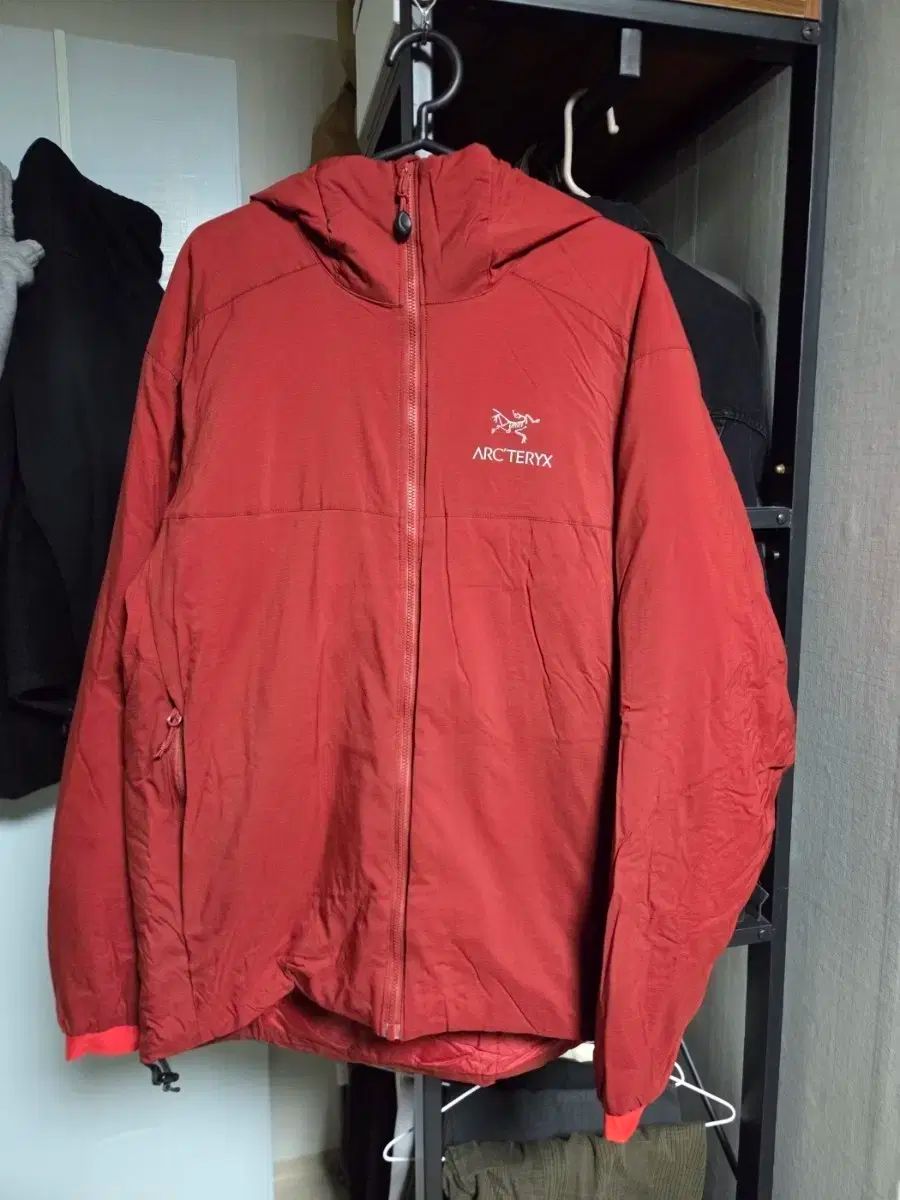 ARC TERYX アークテリクス Atom アトム AR フーディ ボルドー Lサイズ